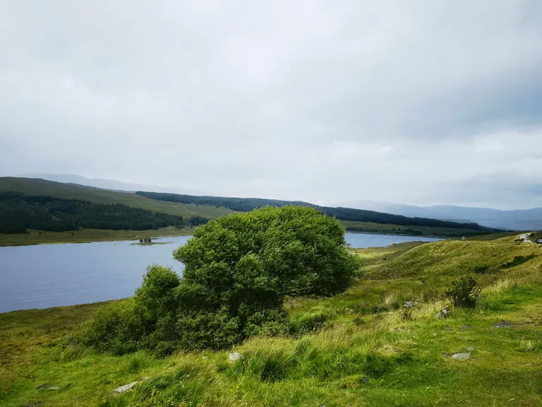 Loch Cluanie 湖岸