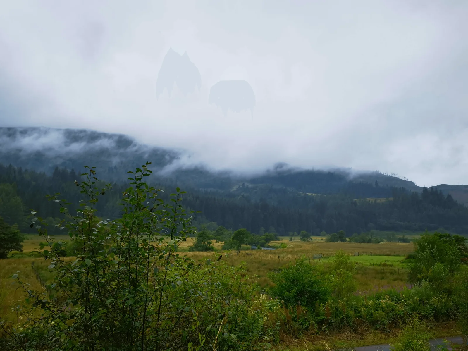 进入 Highlands 的低云