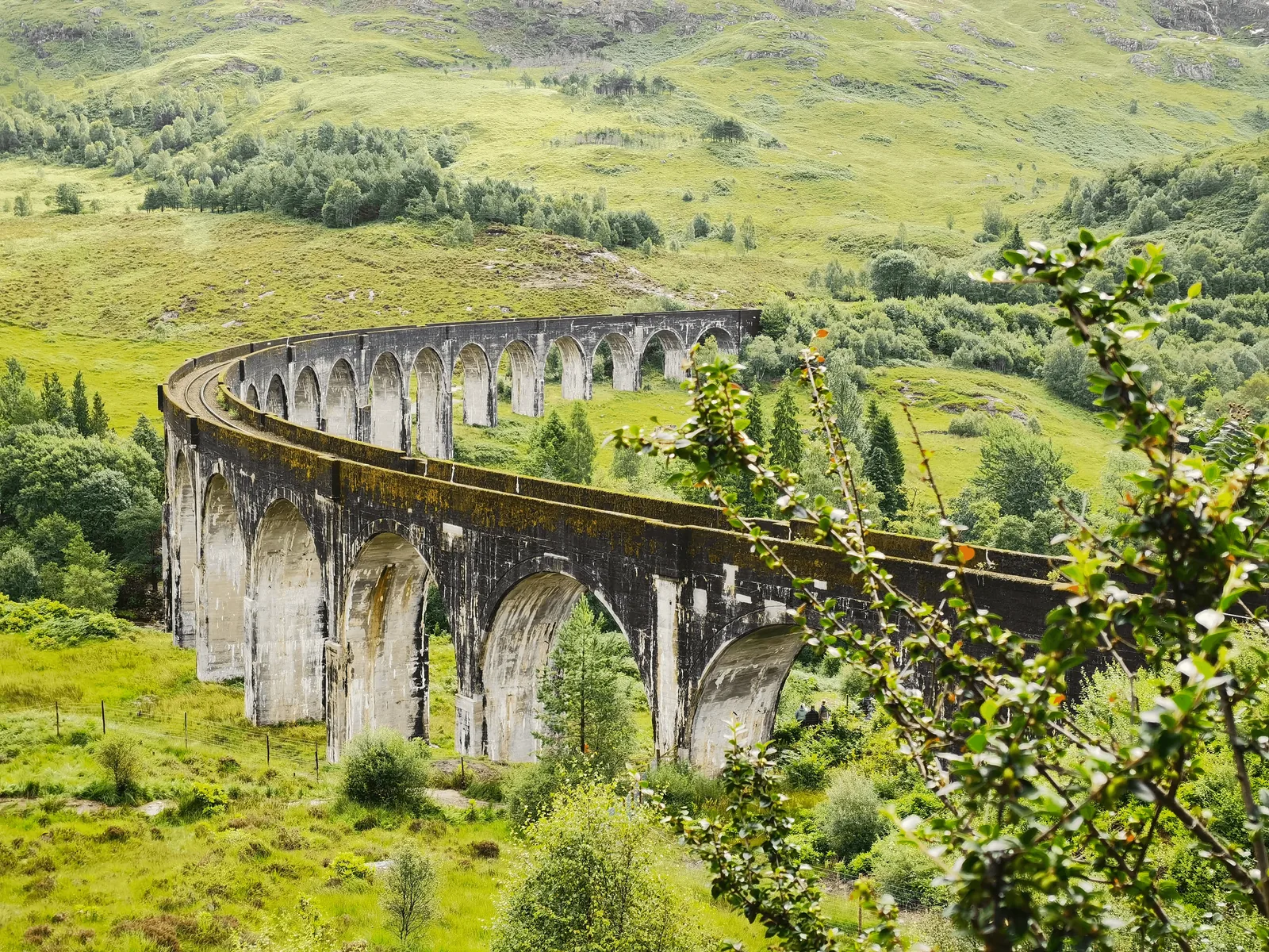 Glenfinnan 拱桥全景