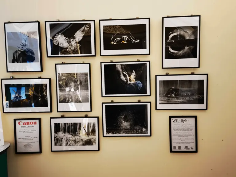 Ffordes Photographic 的影像与器材展示墙。