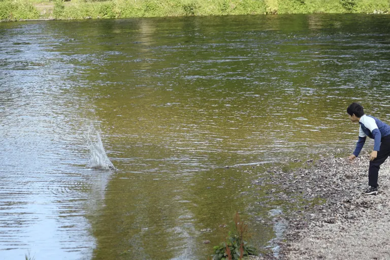 Feynman 在 River Ness 岸边准备打水漂。