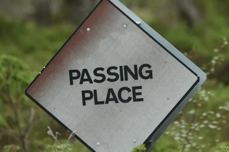 林间道路旁的 Passing Place 标志近景。