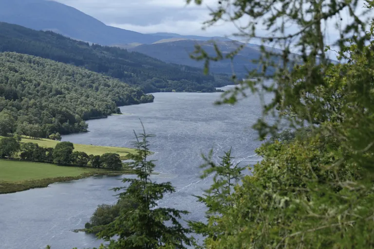 针叶枝桠取景的 Loch Tummel 全景,湖面向远处收窄,远山层叠。