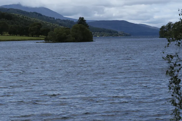 湖岸另一角度的 Loch Tummel,近处树影,远处层叠丘陵。