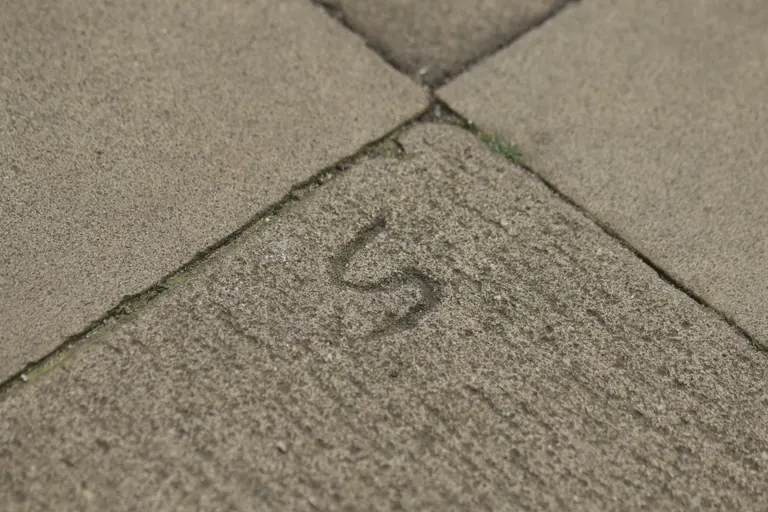 城堡石板上刻出的字母 S 记号。
